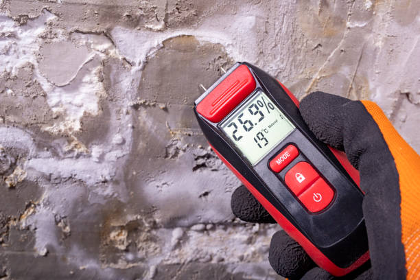 Best Professional Mold Removal  in Madera Ranchos, CA